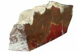 Red, Indonesian Plume Agate Section - North Sumatra, Indonesia #185363-2
